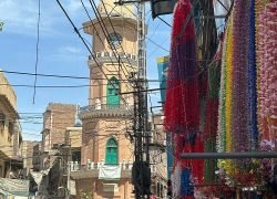caption (10)